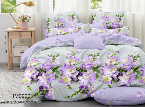 КПБ Поплин Арт. IM0920